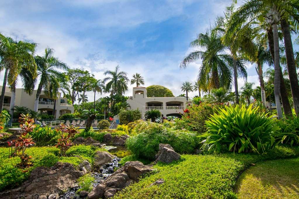 Palms At Wailea Leilighet Eksteriør bilde