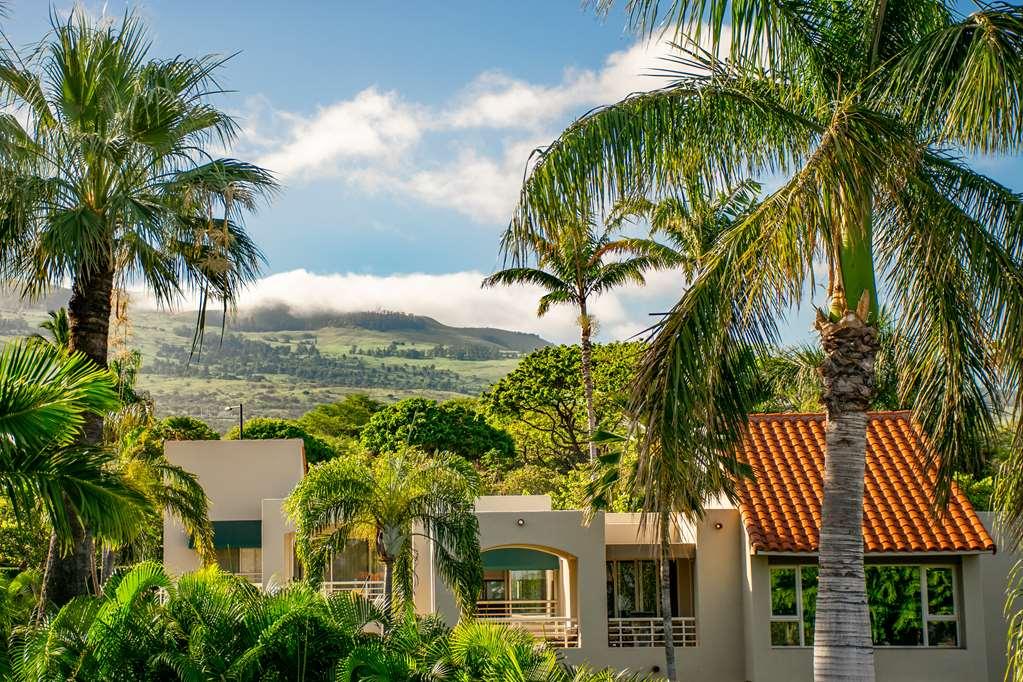Palms At Wailea Leilighet Eksteriør bilde