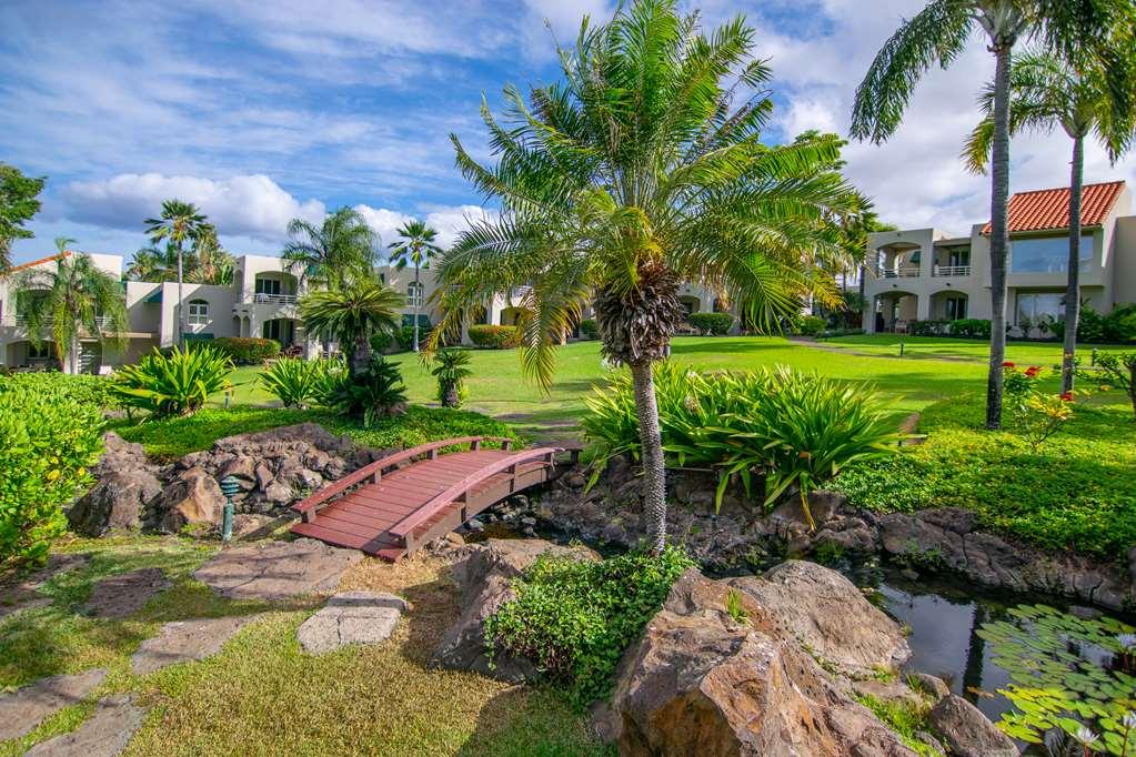 Palms At Wailea Leilighet Eksteriør bilde